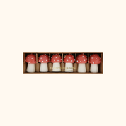 Velas Hongos