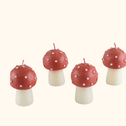 Velas Hongos