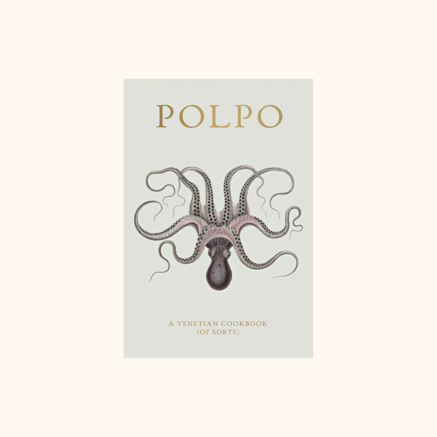 Polpo
