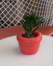 Maceta mini Louis