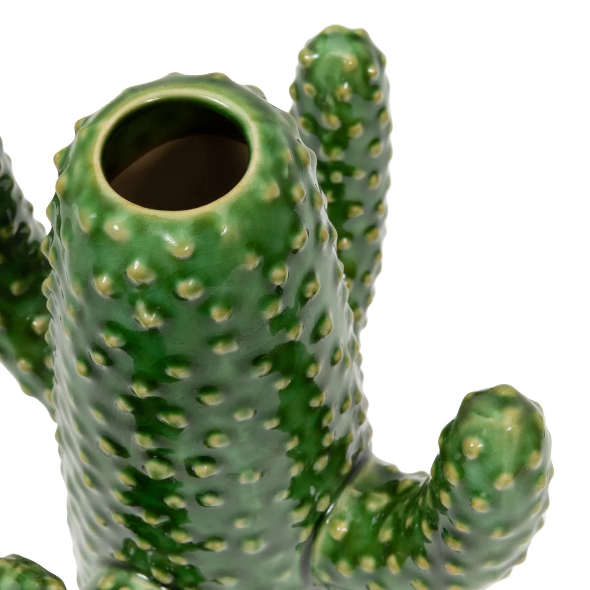 Florero Cactus