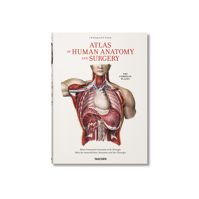 Atlas of Human Anatomy XL