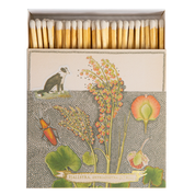 Chien Botanical Drawing Matches