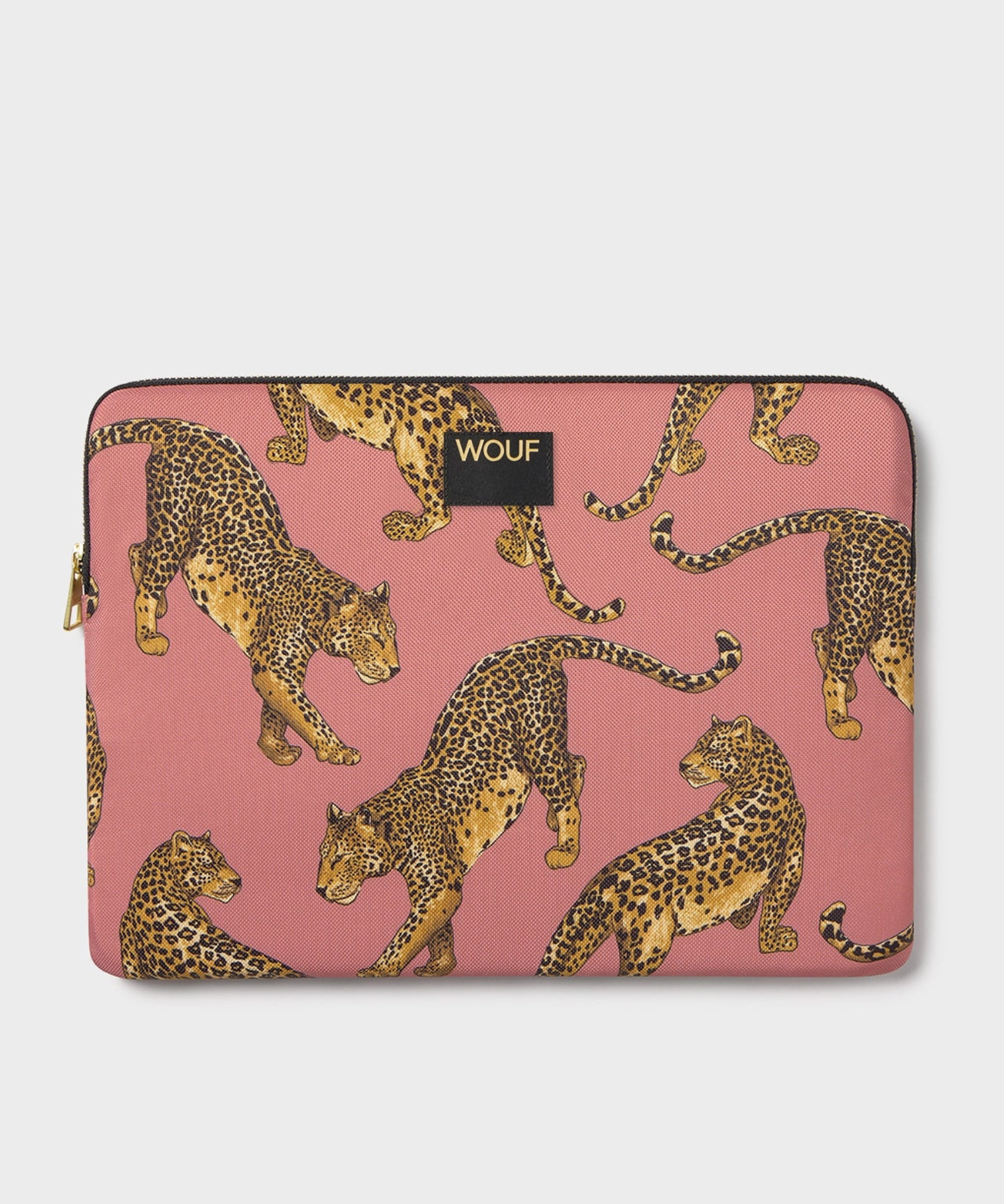 laptop_1.png