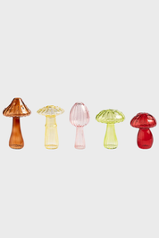 Floreros Mushrooms