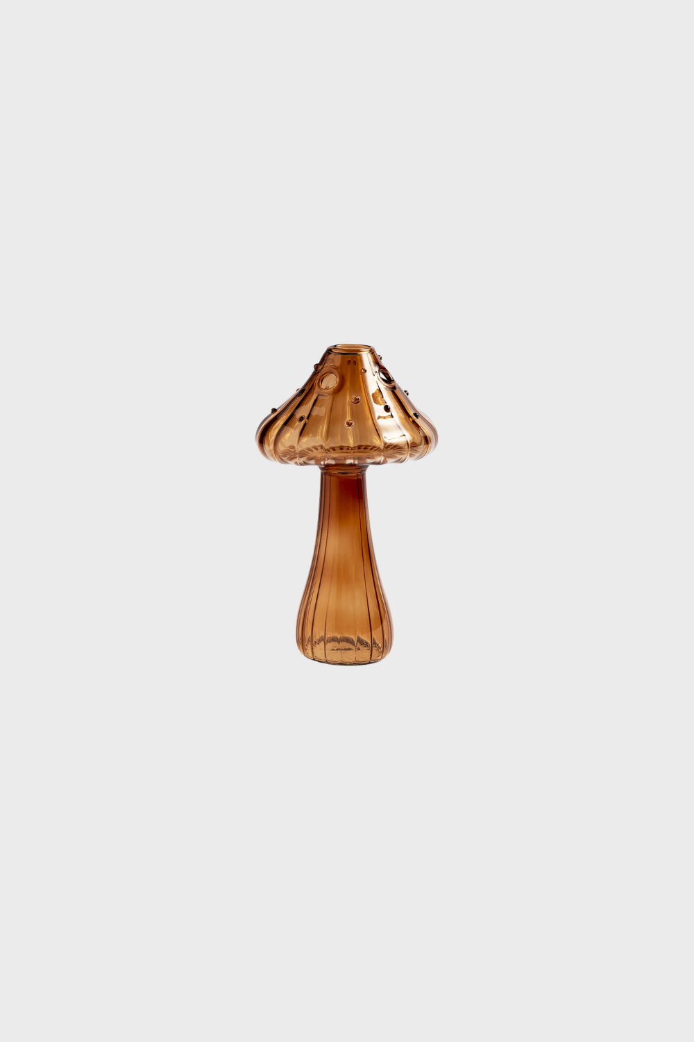 Floreros Mushrooms