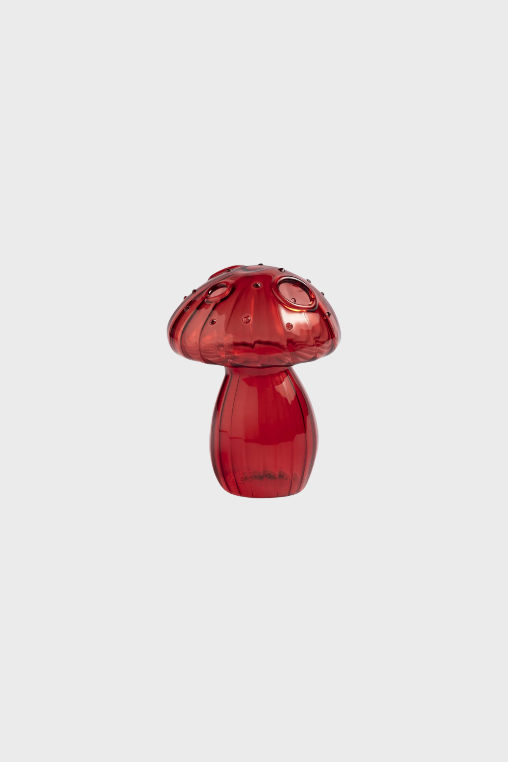 Floreros Mushrooms