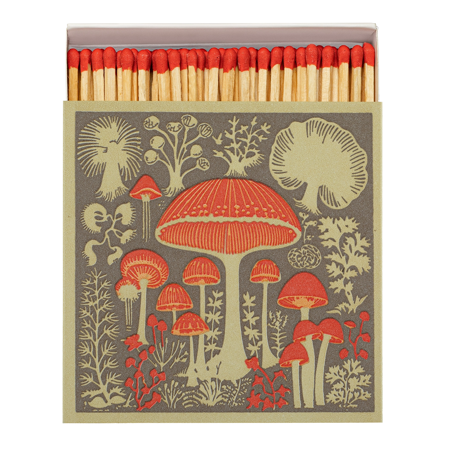 mushrooms.webp
