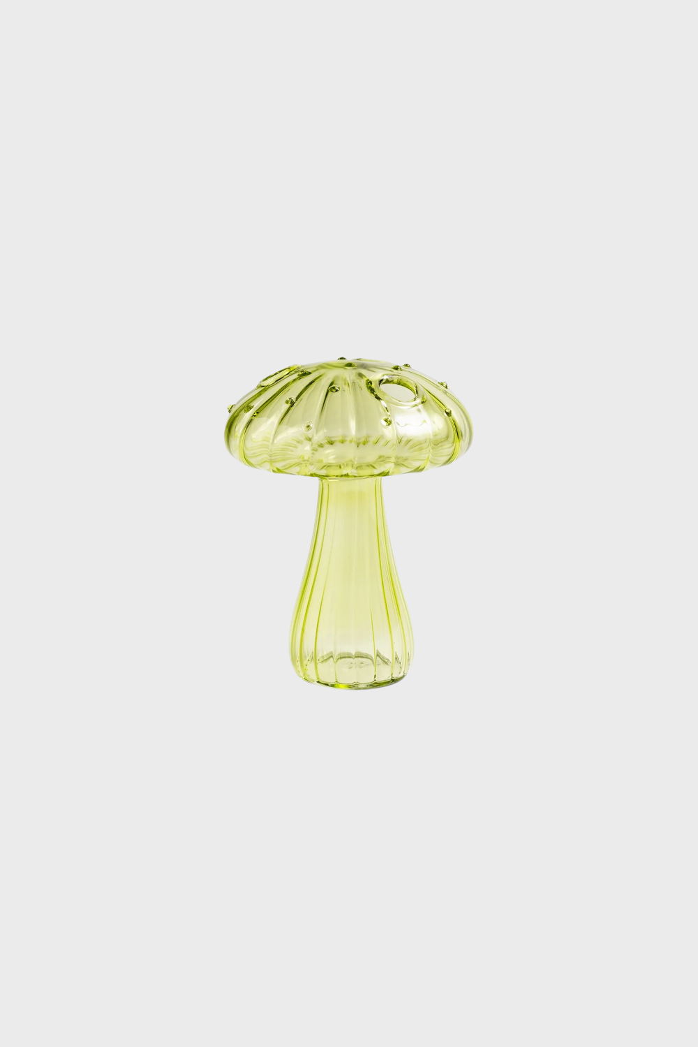 Floreros Mushrooms