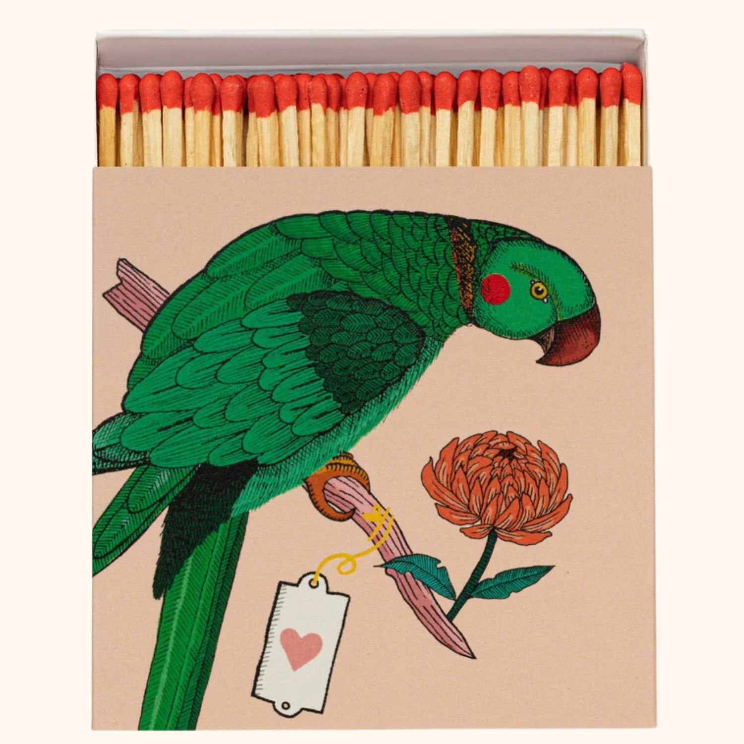 parrott.png